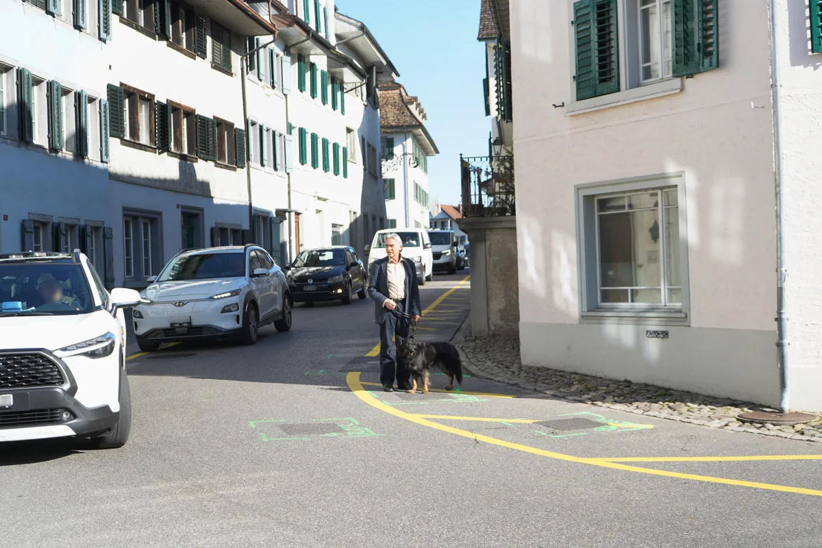 Autos rollen an einem Mann mit Hund vorbei.